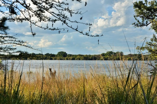 Thebe River Safaris chobe rivier